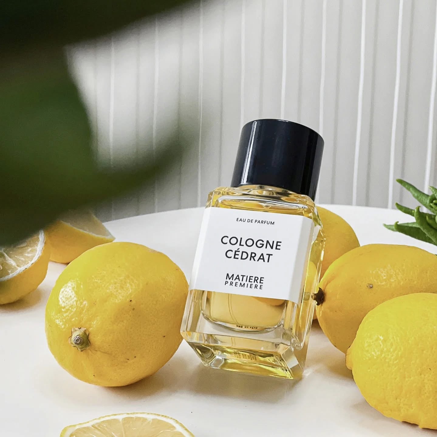 Matiere Premiere Cologne Cedrat