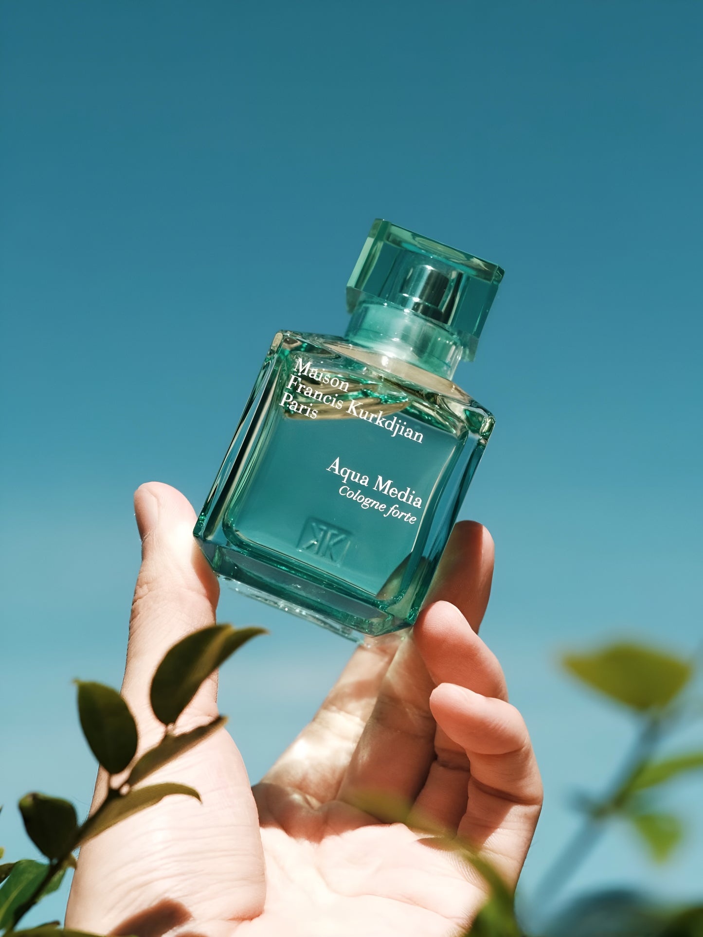 Aqua Media Cologne Forte màu xanh