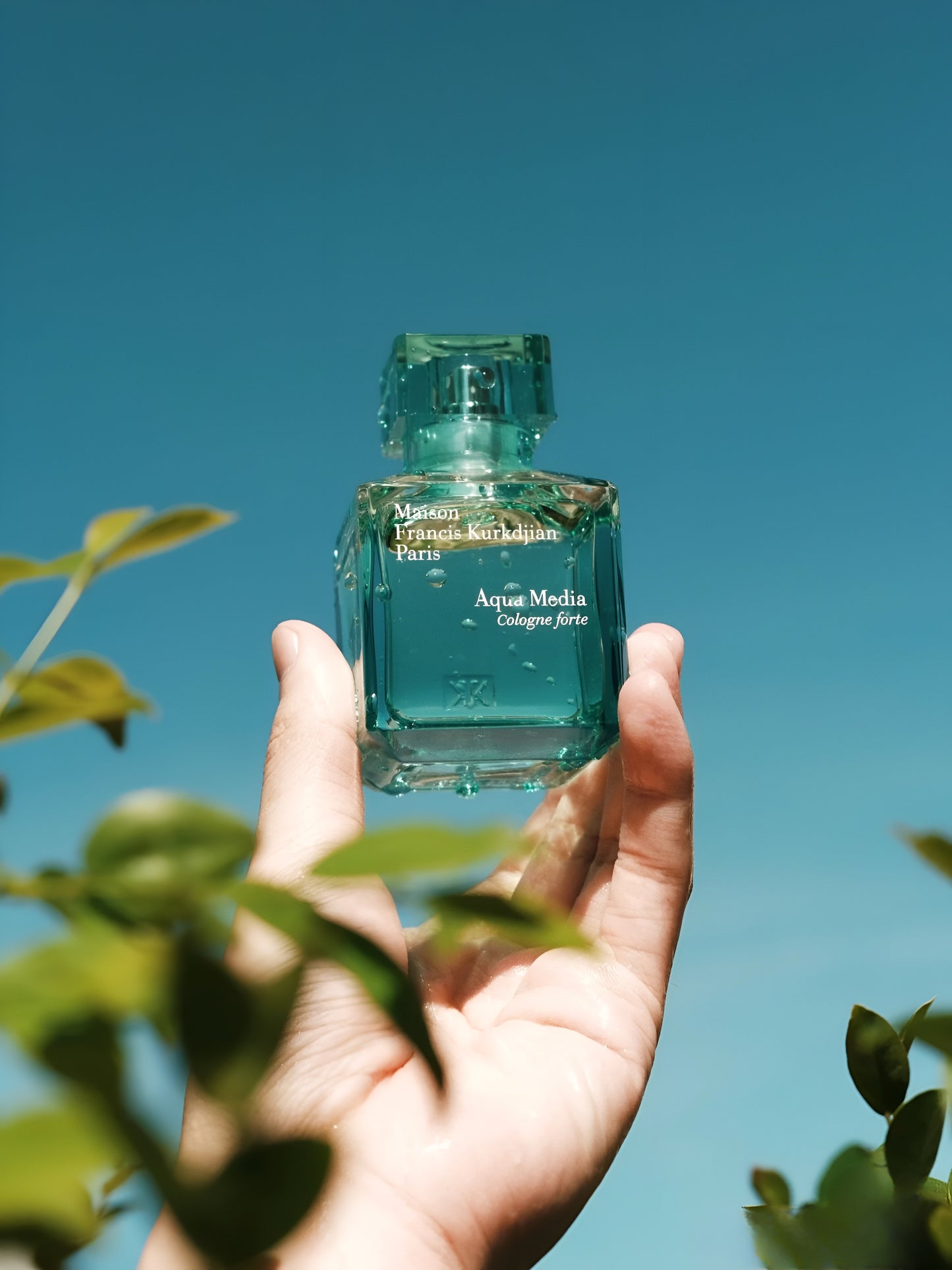 Aqua Media Cologne Forte authentic