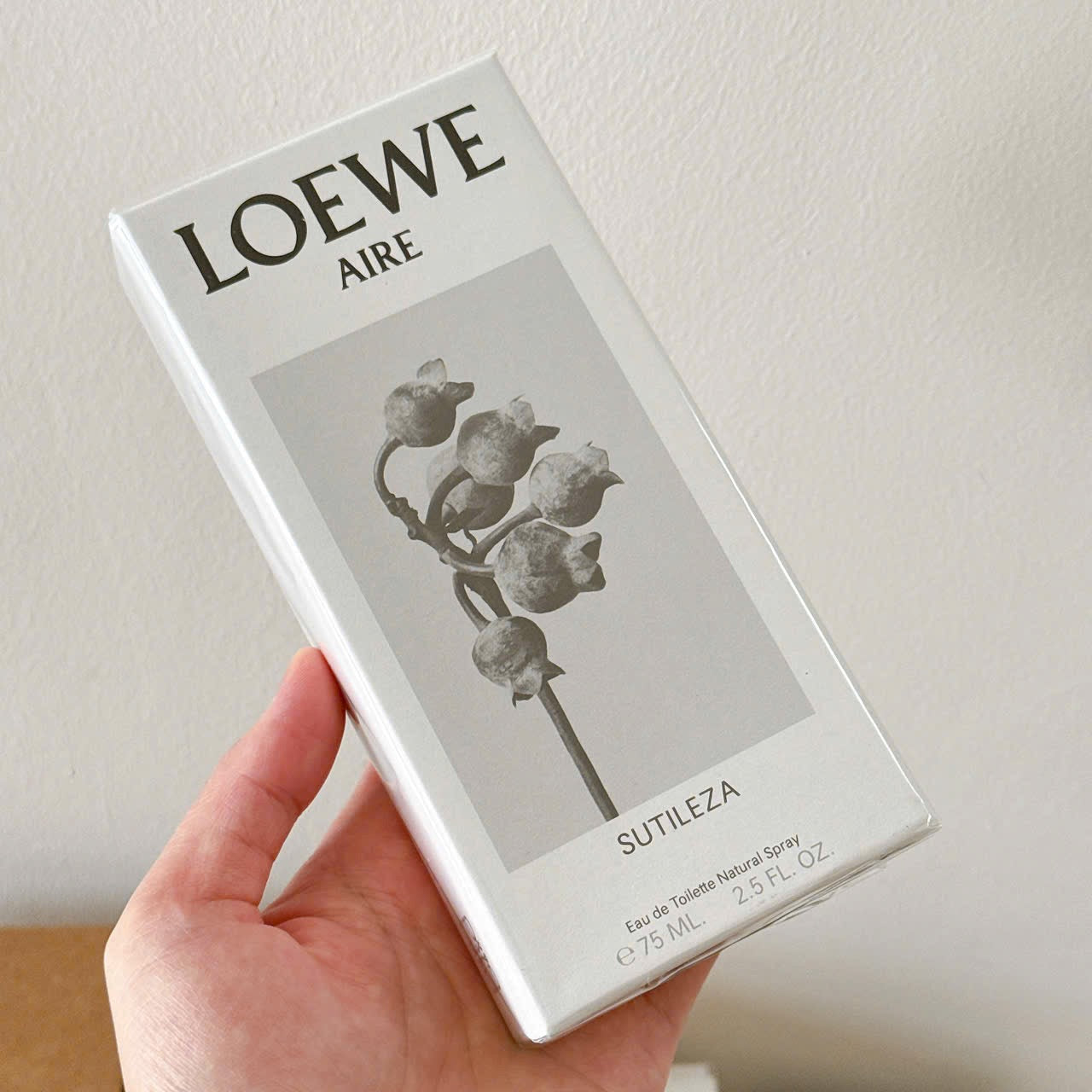 Loewe Aire Sutileza
